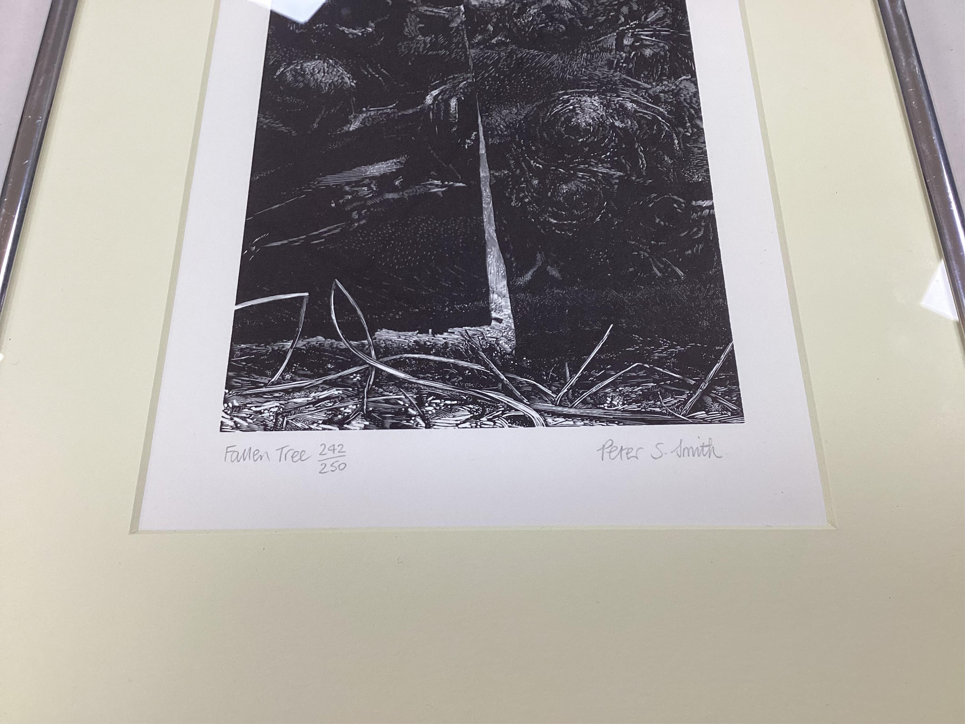 George Tute (b.1933), 'Birds and Beasts' signed, dated '89 and limited edition 242/250, woodcut, together with Peter Smith, Fallen Tree, signed in pencil, limited edition 242/250, woodcut, 22 x 15.5cm